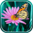 icon Butterflies Live Wallpaper(Borboleta papel de parede ao vivo) 1.0.3