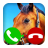 icon Fake Call Horse Game(chamada falsa cuidados com cavalos) 5.0