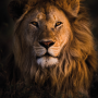 icon Lion Sounds(Sons de leão e toque)