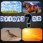 icon מה בתמונה (O que tem na foto?)