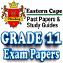 icon Grade 11 Eastern Cape Papers (Grau 11 Eastern Cape Papers
)