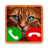 icon Fake Call Cat Game(jogo de gato de chamada falsa) 8.0