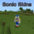 icon Sonic Mod(Skins Sonic for Minecraft PE
) 1.56