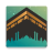 icon 1.1.9