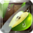 icon Fruit Slice(Fatia de fruta) 1.4.5