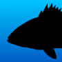 icon Fish Rules(Fish Rules: Fishing App)