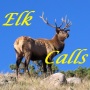 icon Elk Calls HD(Elk chama HD)