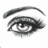 icon mirror(Lightened Mirror MS) 2.0.2