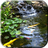 icon Pond with Koi Video Wallpaper(Lagoa com Koi Live Wallpaper) 5.0