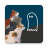 icon Cats Who Stare At Ghosts(gatas que encaram fantasmas) 1.1.10
