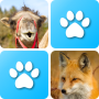 icon Pairs Animals(Pairs: Animals)