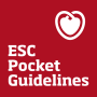 icon Guidelines(ESC Pocket Guidelines)