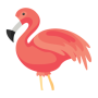 icon com.flamingo.animator(Flamingo Animator
)