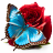 icon 4.0.2