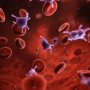 icon Platelet Counter ()