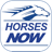 icon Horses Now(Cavalos Agora) 3.3.2