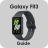 icon Samsung Galaxy Fit3 Guide(Guia Samsung Galaxy Fit3) 1
