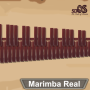 icon Marimba, Xylophone, Vibraphone Real()