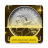 icon Coin Identifier(Valor da moeda Identificar Coin Scan) 12.0