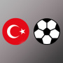icon Türkiye Süper Lig Simülasyon (Simulação da Super League da Turquia)