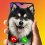 icon Your Call: Screen Change