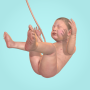 icon Idle 9 Months (Idle 9 Meses)