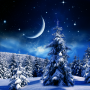 icon Winter Night Live Wallpaper(Papel de Parede Noite de Inverno)