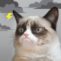 icon Grumpy Weather(Tempo mal-humorado do gato)