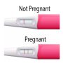 icon Pregnancy test & signs guide (Teste de gravidez e guia de sinais)
