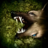 icon Dog Online(Dog Online - Monster Virus
) 2.2.2
