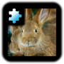 icon Rabbit(Quebra-cabeça: coelho)