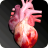 icon Circulatory System in 3D Anatomy(Sistema circulatório Anatomia 3D) 1.85