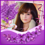 icon Flower Photo Frames (Quadros da foto da flor)