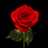 icon Flowers(Flowers And Roses Animated) 1.9