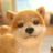 icon withMyDOG(com My DOG
) 1.0.4