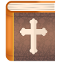 icon Study Bible for young people (Bíblia de estudo para jovens)
