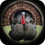 icon Turkey Hunting Calls (Chamadas De Caça De Peru)