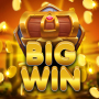 icon Big Win Wild