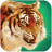 icon Talking Tiger(Falando tigre) 1.2.3