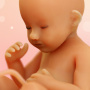 icon WeMoms(WeMoms Pregnancy Baby Tracker)