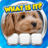 icon 1.40.8
