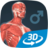 icon Human body male educational VR 3D(Corpo humano (masculino) Cena 3D Chamada de) 1.30