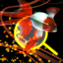 icon goldc(Goldfish Dream)