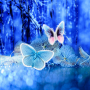 icon Butterflies Live Wallpaper(Papel de Parede Borboletas Abstratas)