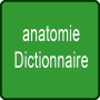 icon Anatomie Dictionnaire(dicionário de anatomia)