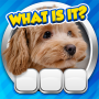 icon Guess it! Zoom Pic Trivia Game ()