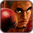 icon Pro 3D Boxing(Super Boxe: Cidade Lutador) 2.0.2