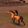icon Horse Riding Free(Equitação)