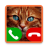 icon Fake Call Cat Game(jogo de gato de chamada falsa) 12.0