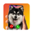icon Your Call: Screen Change 1.0.6